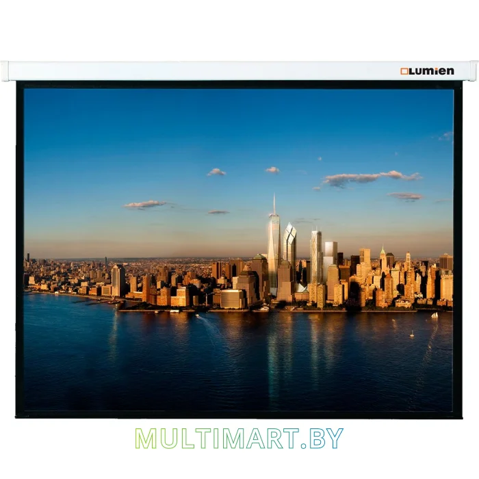 Проекционный экран Lumien Master Picture 229x305 (LMP-100112)